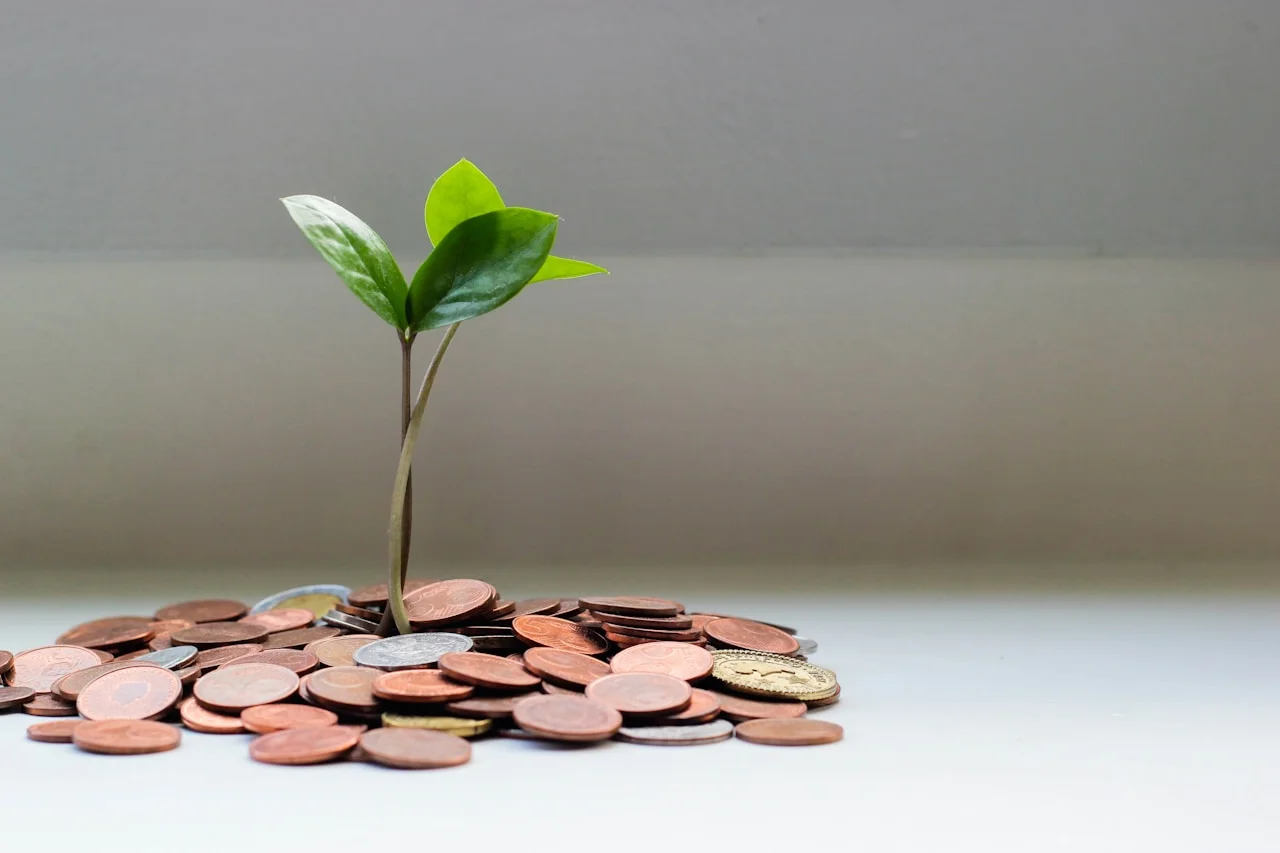 How to Attract High-Ticket Wellness Clients (Without Feeling Pushy)